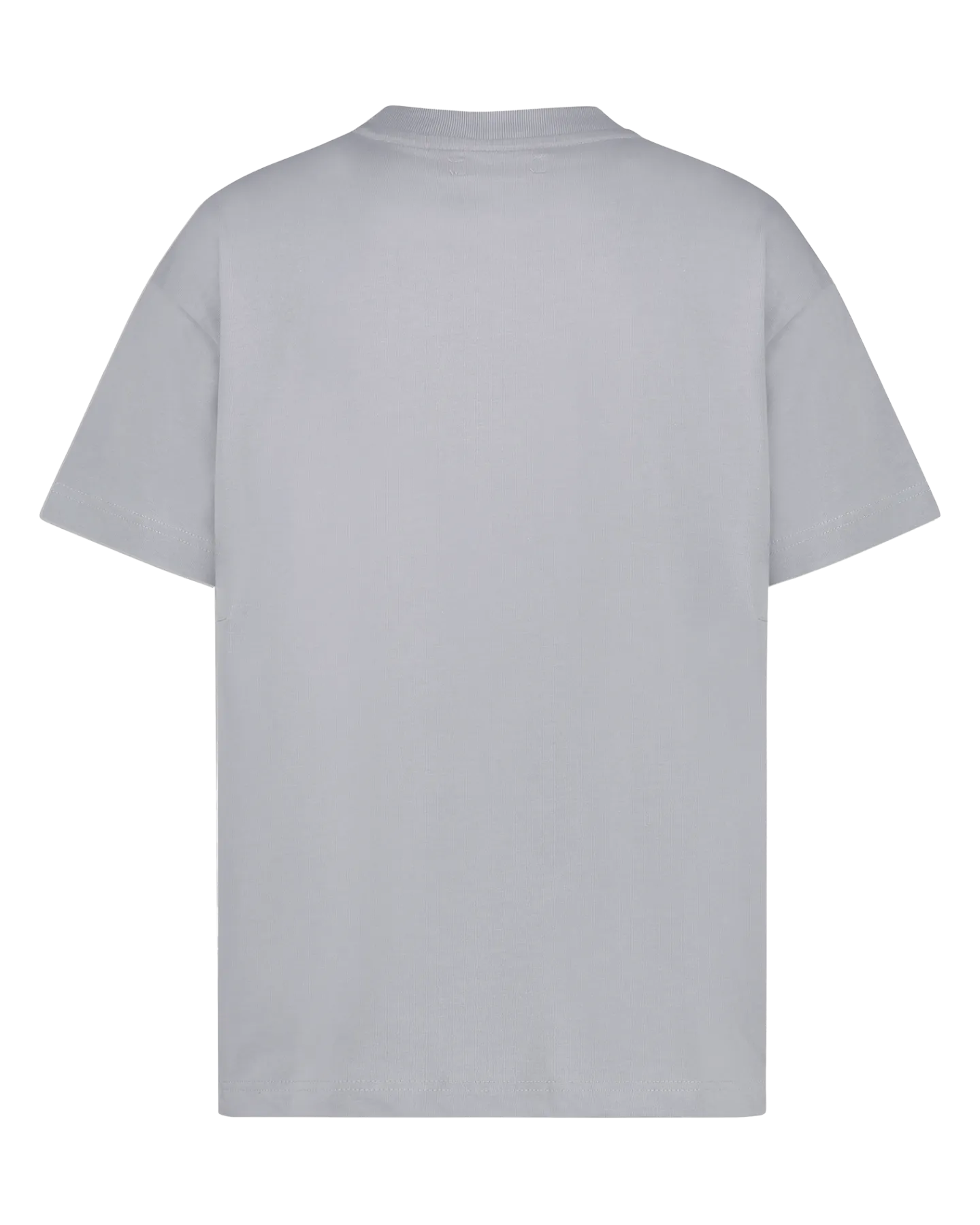 Heren Essential T-Shirt Grijs