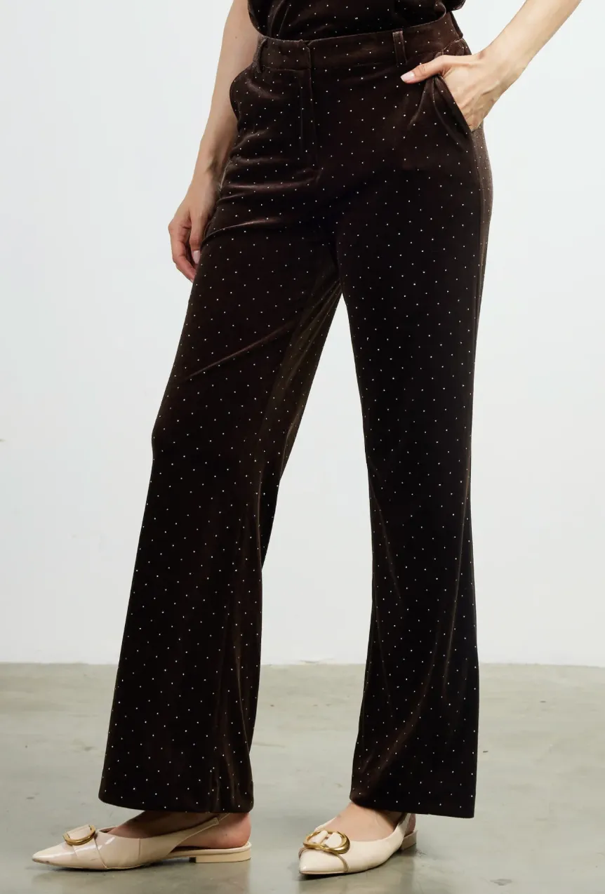 Velvet Rhinestone Pants